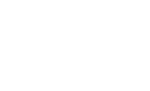 Download CV